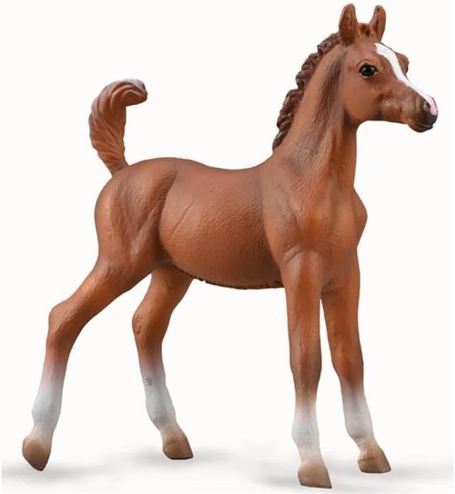 Though most Arabians have a natural tendency to cooperate with humans, when treated badly, they can become excessively nervous or anxious.