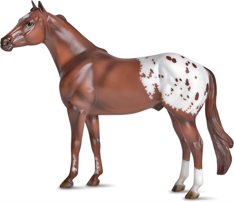 Orren Mixers famed painting The Appaloosa, was commissioned by the ApHC and was publicly unveiled in 1981. It prominently features a handsome chestnut blanket Appaloosa stallion, whose image can still be seen today on the ApHCs promotional materials.