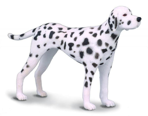 The 4.1''L x 2.6''H Dalmatian is just one of the many beautifully sculpted pieces in CollectA's Cats and Dogs Collection. Create a natural world in miniature with high quality toy animal replicas from CollectA.