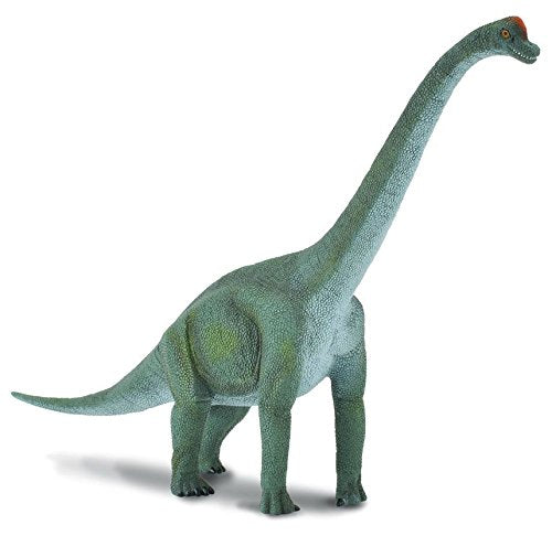 Realistic dino toy, saurupod, unbreakable figurine