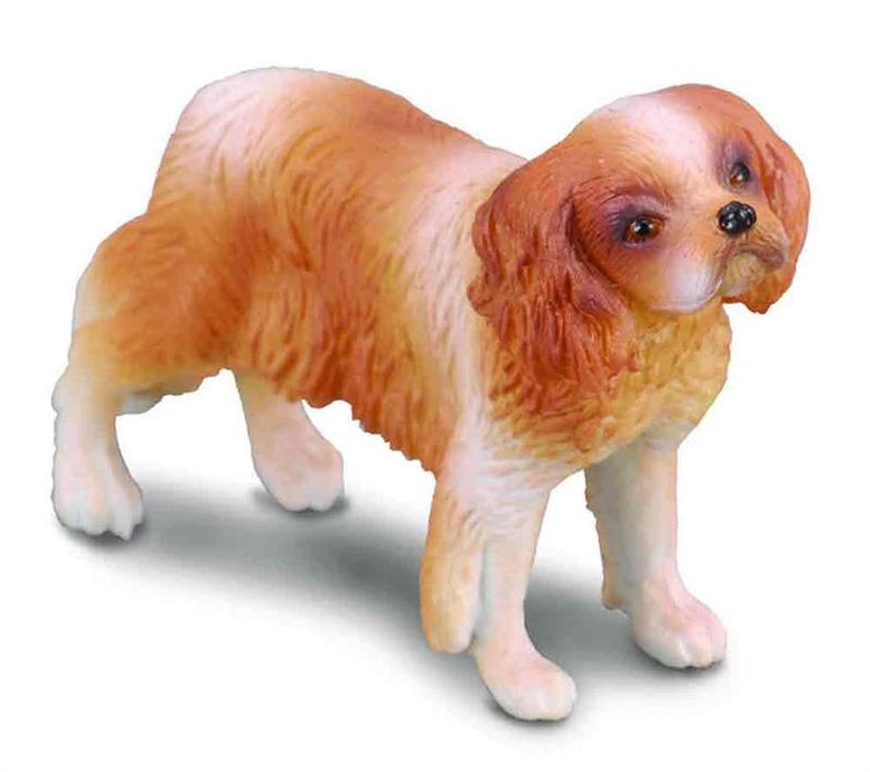 amed after Britain's King Charles II, the Cavalier King Charles Spaniel is a perfect companion for both adults and children. The 2.4''L x 1.6''H Cavalier King Charles Spaniel is just one of the many beautifully sculpted pieces in CollectA's Cats and Dogs