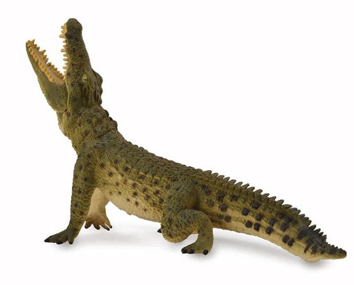 CollectA's realistic Nile River Crocodile figurine measures 8.2"L x 4.5"H. Ages 3 and up. 1:18 Scale.