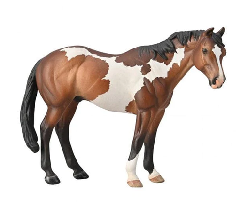 This lovely paint horse features a bay overo pattern.