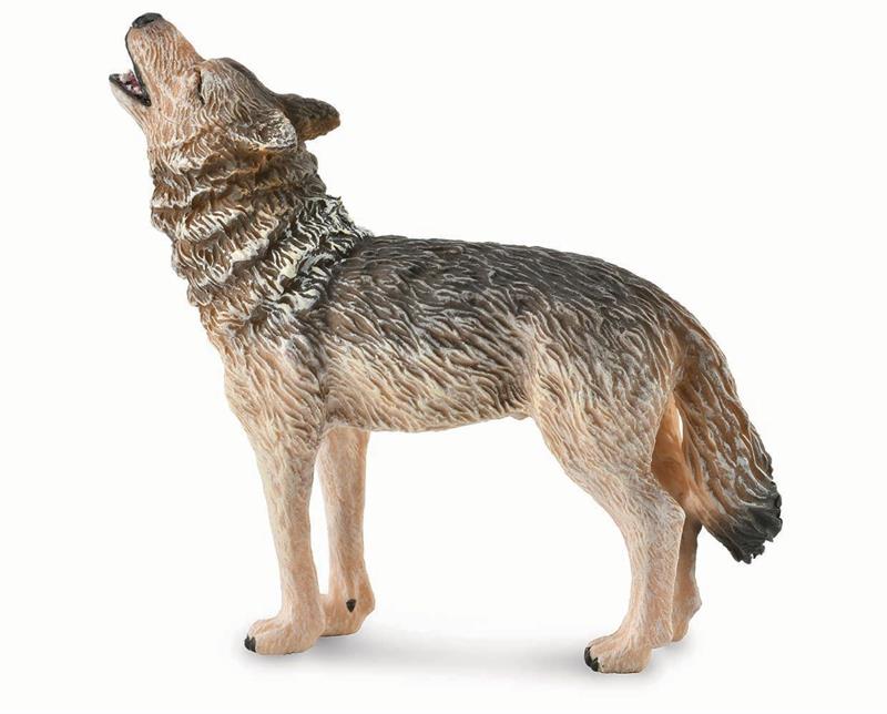 CollectA's Howling Timber Wolf #88844 measures approximately 5.5 x 3.1 x 3.9 inches. Ages 3+ | 1:18 Scale The Timber Wolf (consisting of the eastern wolf and the northwestern wolf) is a subspecies of gray wolf. The subspecies is the product of ancient gen