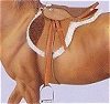 Devon English Huntseat Saddle