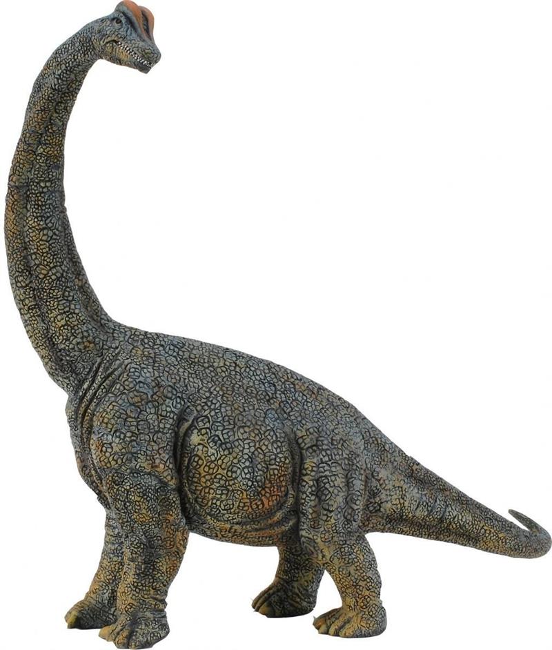 brachiosaurus foot