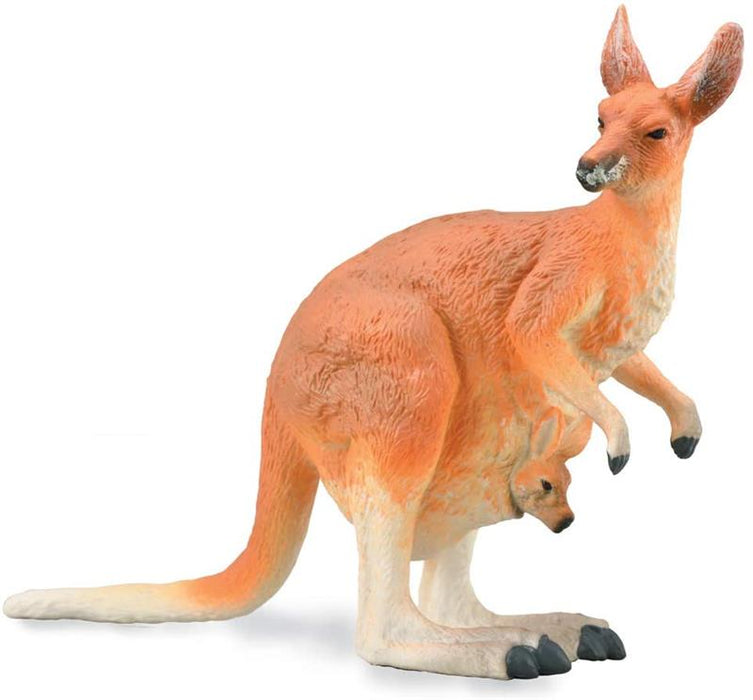 The kangaroo is a marsupial and is indigenous to Australia and New Guinea. The female kangaroos have the unusual ability to delay birth of their baby until their previous Joey has left the pouch.