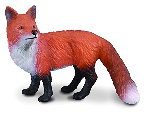 Red foxes have a wide vocal range, and produce different sounds spanning five octaves, which grade into each other. This toy figurine measures 6cm x 4cm.CollectA models are crafted to the highest standards and made with high quality, safe, phthalate-free,
