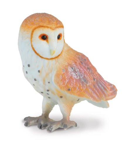 This true to life, scaled-down Barn Owl is perfect for use in dioramas, play farms, or other project displays. The barn owl has acute hearing, with ears placed asymmetrically. This improves detection of sound position and distance and the bird does not re
