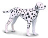 The 4.1''L x 2.6''H Dalmatian is just one of the many beautifully sculpted pieces in CollectA's Cats and Dogs Collection. Create a natural world in miniature with high quality toy animal replicas from CollectA. 