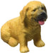 The 1.8''L x 1.4''H Golden Retriever Puppy is just one of the many beautifully sculpted pieces in CollectA's Cats and Dogs Collection.