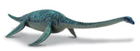 Fossil remains found in California indicate that this plesiosaur lived 70 - 65 million years ago. Its name means ''water beast lizard.'' It had a long, flexible neck and paddle-like flippers. The fossil specimen is a complete skeleton that even contains r