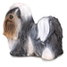 This Shi Tzu figure is realistic in every detail and makes a wonderful addition to any child's collection. This toy dog breed was a prized pet for royalty during the Ming Dynasty. Alert, playful and friendly, the Shih Tzu weighs about 16 pounds when full-