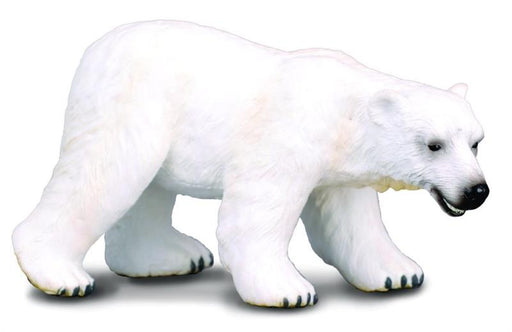Polar bear fur consists of a layer of dense underfur and an outer layer of guard hairs, which appear white to tan but are actually transparent. This toy figurine measures: 11cm X 6cm. This true to life, scaled-down Polar Bear is perfect for use in diorama