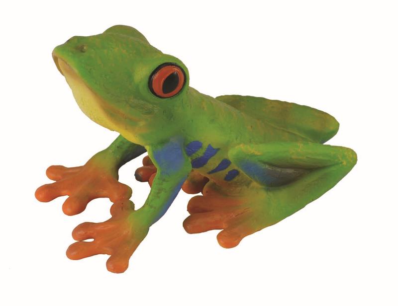 Like many Tree Frogs, the Red-Eyed Tree Frog has suction cups on its toes that enable it to climb trees and on leaves.