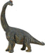 With front legs that were longer than its back legs, the Brachiosaurus stood about 50 feet tall, perfect for foraging among the tree tops. This well-known dinosaur lived during the Jurassic period, 156 - 145 million years ago. Each prehistoric figure in t