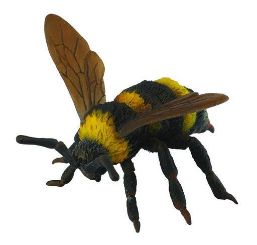 Queen and worker bumblebees can sting. Unlike a honey bee's stinger, a bumblebee's stinger lacks barbs, so it can sting repeatedly without injuring itself.