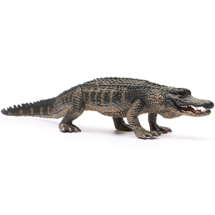 The 6.9" L x 1.3'' H Wildlife American Alligator is realistic and lifelike in every detail, from it's wide open jaw showing off its formidable teeth to its erect walking pose, webbed feet and powerful long tail. 