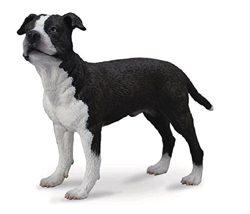 The American Staffordshire Terrier figure is realistic in every detail and makes a wonderful addition to any child's collection. As a pet, the ''Am Staff'' will do well when kept busy and given work to do. This exceptionally strong and loyal dog will prot
