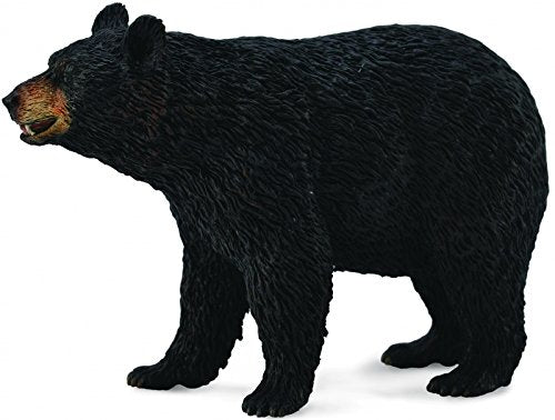 The 9.0" L x 2.4" H American Black Bear is realistic and lifelike in every detail. For Ages 3 and up. sing role play, children gain a deeper knowledge of the animals. Excellent for educational purposes and for use in dioramas, pretend habitat scenes, or  
