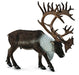 Caribou, Reindeer realistic figurine toy