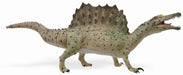 The distinctive spines of Spinosaurus, which were long extensions of the vertebrae, grew to at least 1.65 meters (5.4 ft) long and were likely to have had skin connecting them, forming a sail-like structure. This authentically detailed toy figurine of the