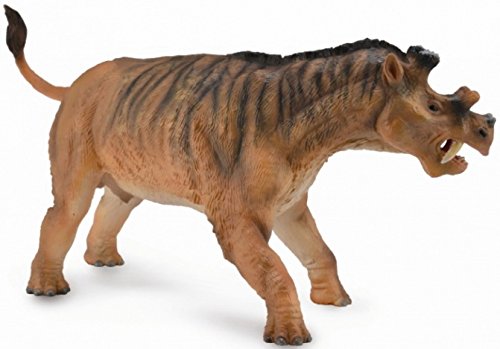  The Uintatherium was a herbivore dinosaur that lived during the Eocene period. The male had three pairs of horns, probably used in mating combat and rituals. The skull was concave, limiting brain-size, and the elongated canine teeth were larger in males 