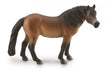 The Exmoor pony is a rare breed native to the British Isles. Many herds can be found running free at Exmoor National Park, a large area of moorland in Devon and Somerset in southwest England. Historically, these hardy ponies were used for farm work.