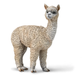 Alpacas are social herd animals that live in family groups, consisting of a territorial alpha male, females, and their young ones.