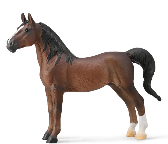 Saddlebreds are known for their sense of presence and style, as well as for their spirited, yet gentle, temperament. Perhaps the breeds most distinguishing trait is its ingenuity.