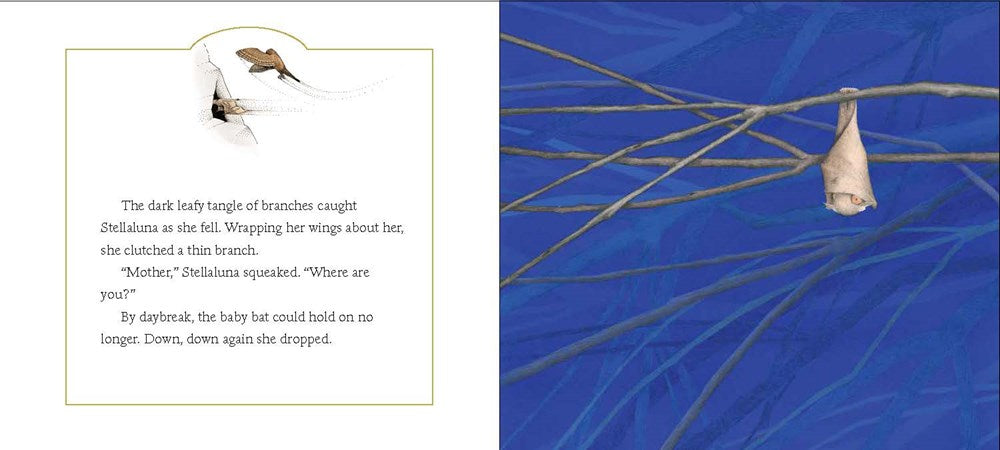 Stellaluna Board Book: Janell Cannon