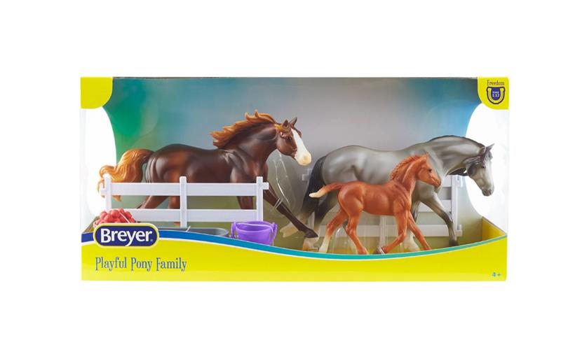 Well-tempered, hardy, and intelligent, Welsh ponies excel in a variety of equestrian disciplines enjoyed by both children and adults. Whether in harness or under saddle, these sure-footed ponies are eager and reliable.