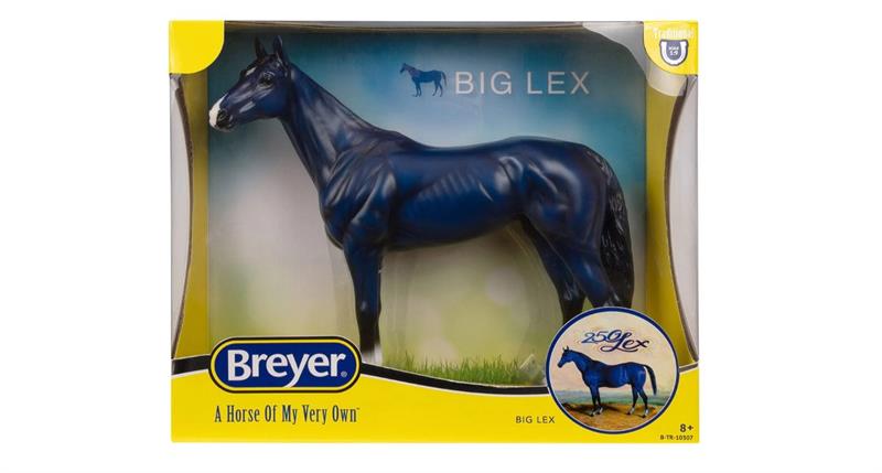 Legend has it that "Big Lex" turned blue from grazing the nourishing bluegrass his entire life!