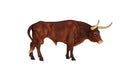 The Longhorn Bull is an icon of the American West, and is known for its impressive horns which can span up to 10 feet.