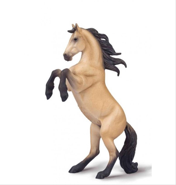 The Warlander is a horse of Baroque type, produced by crossing Friesian horses with horses of a purebred registered Iberian horse breed such as the Andalusian, Lusitano, or Menorquina.