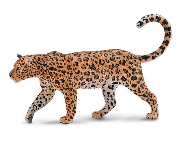 CollectA's realistic toy figurine of a walking African Leopard #88866 measures 5.0"L x 3.2"H. Age 3+. 1:18 Scale.
