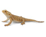 Breyer Horses CollectA Bearded Dragon Lizard #88567 From CollectA's Little Wonders Reptiles & Amphibians Collection. Realistic Bearded Dragon Lizard figurine measures 5.1"L x 1.6"H