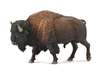 Bison are often called buffalo, though this term is also used to refer to other bovines. A bison has a shaggy, long, dark-brown winter coat, and a lighter-weight, lighter-brown summer coat.