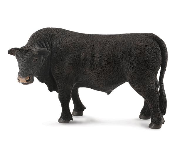 Angus cattle are widely used in crossbreeding to reduce the likelihood of dystocia
