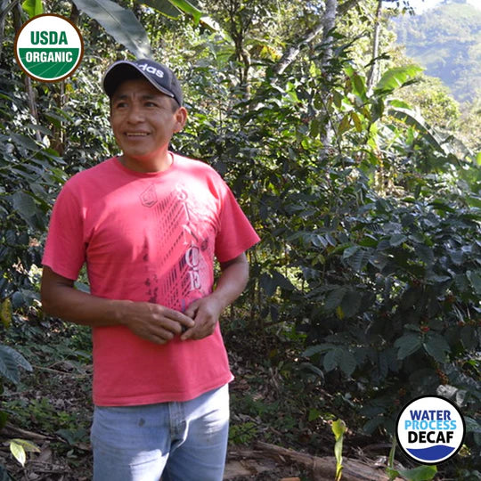 Organic Decaf Coffee - Medium Roast Small Batch 12oz Bag