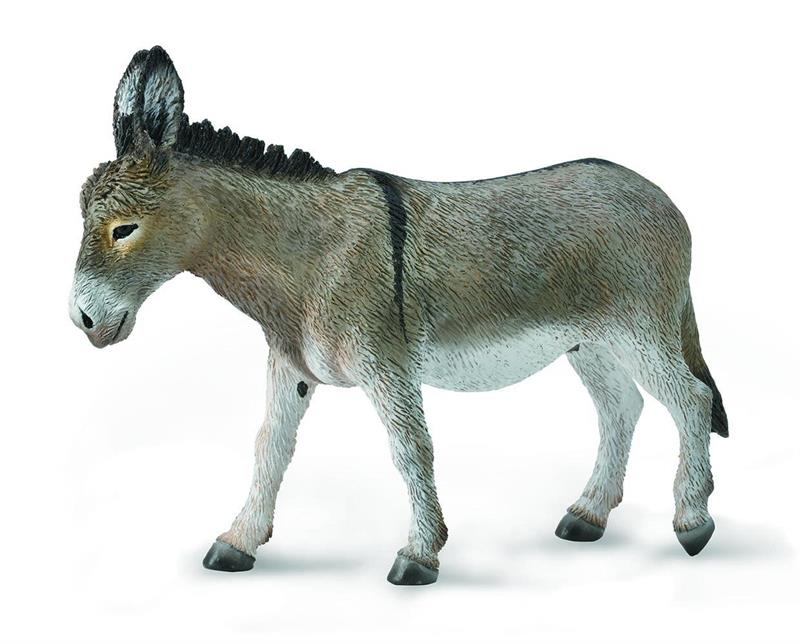 Donkeys closely resemble horses and zebras, but their specific physical characteristics set them apart from their close relatives. Donkeys tend to be smaller than most horses, and their ears are typically much longer than those of horses.