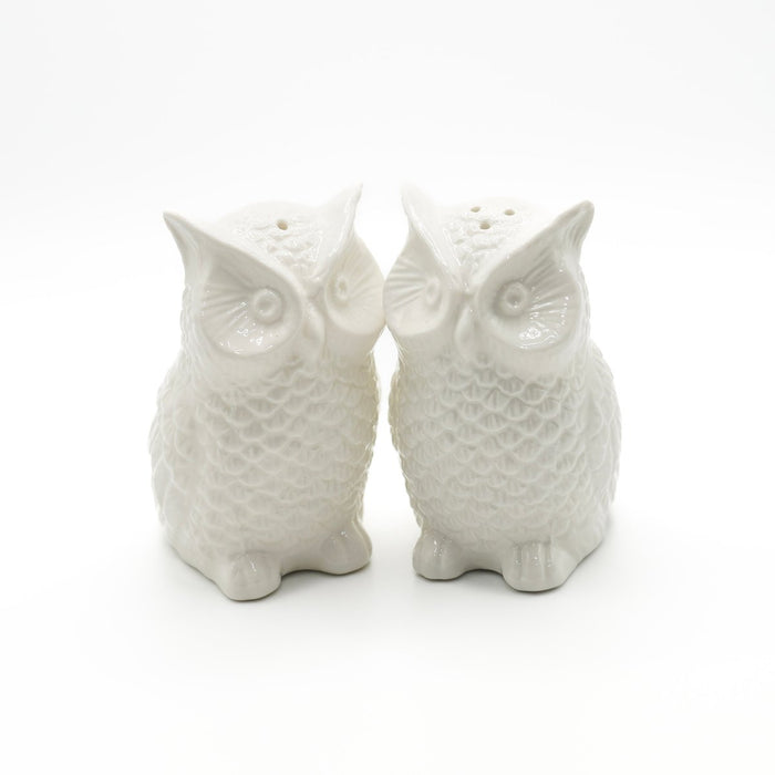 Fox Run Ceramic Owl Salt & Pepper Shakers – Decorative Kitchen Set