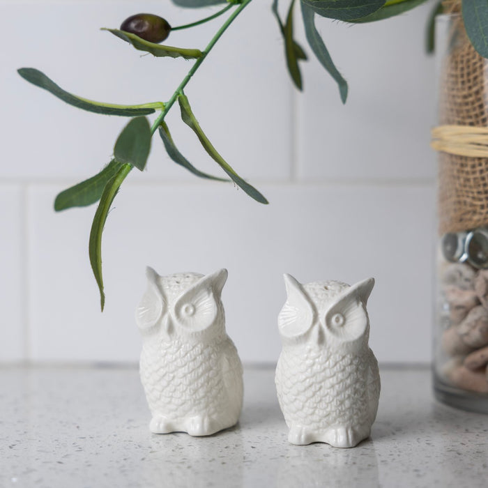 Fox Run Ceramic Owl Salt & Pepper Shakers – Decorative Kitchen Set