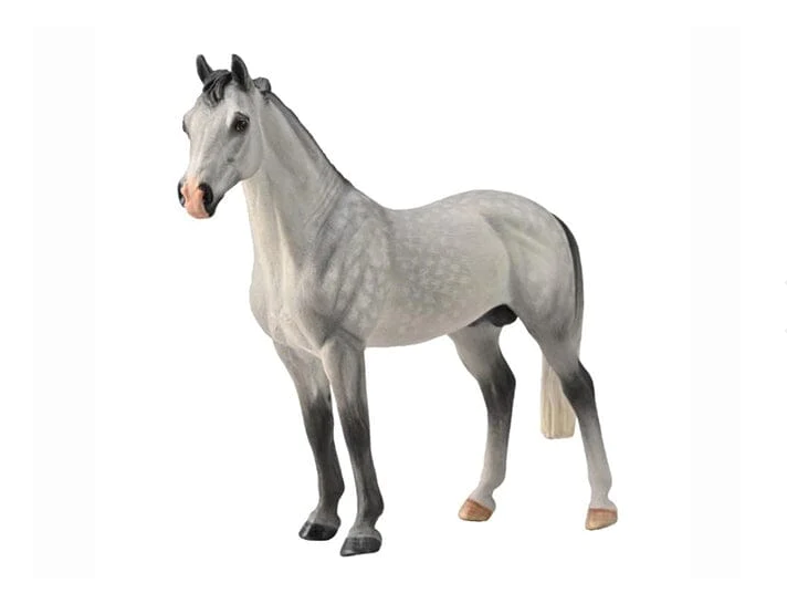 For generations, the Hanoverian horse has been recognized as one of the worlds most prominent and successful breeds of riding horses.