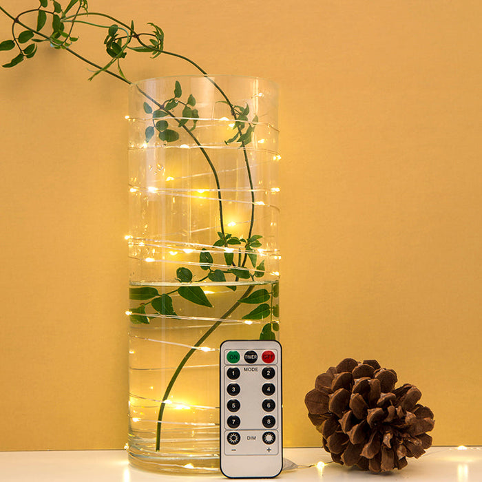 Extra Long! Silver String Lights, 30 ft