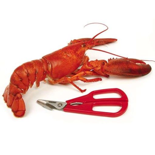 NorPro Ultimate Seafood Shears - Heavy Duty Kitchen Scissors for Shellfish and Crab