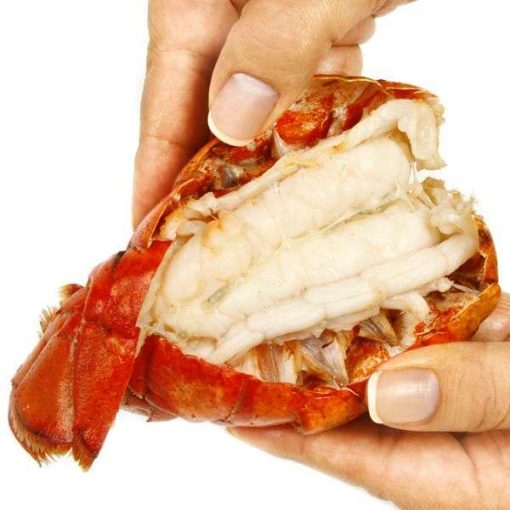 NorPro Ultimate Seafood Shears - Heavy Duty Kitchen Scissors for Shellfish and Crab