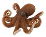 The octopus is a soft-bodied, eight-limbed mollusc; around 300 species are recognised. Like other cephalopods, the octopus is bilaterally symmetric with two eyes and a beak, with its mouth at the center point of the eight limbs. 