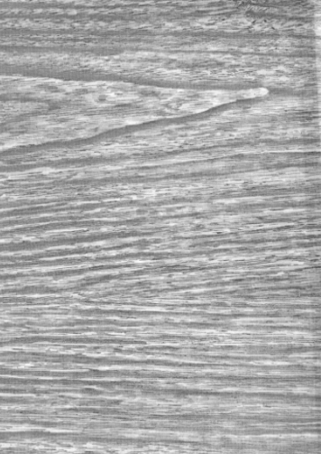 Ash Oilcloth Fabric by the Yard - 47.5" Wide