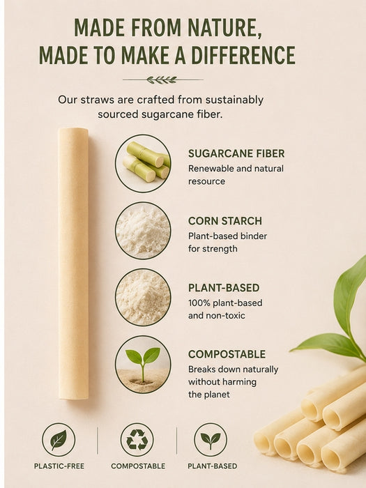 The Wild Turtle Boba & Smoothie Sugarcane Straws, 50 Count